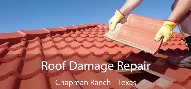 Roof Damage Repair Chapman Ranch - Texas