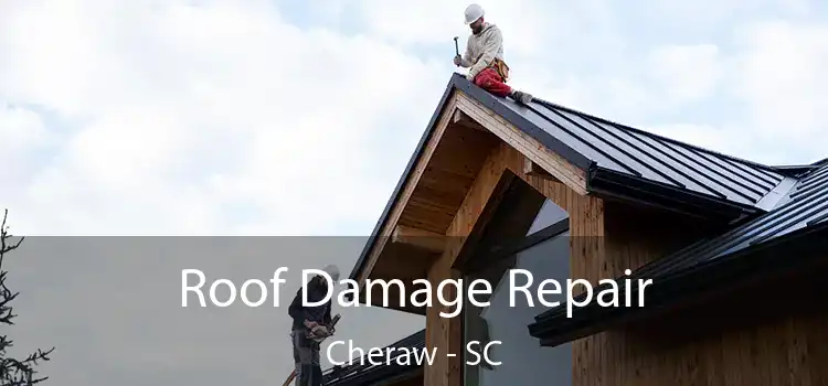 Roof Damage Repair Cheraw - SC