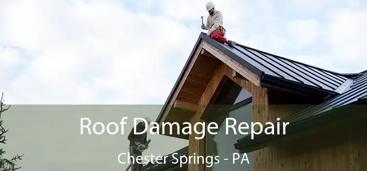 Roof Damage Repair Chester Springs - PA