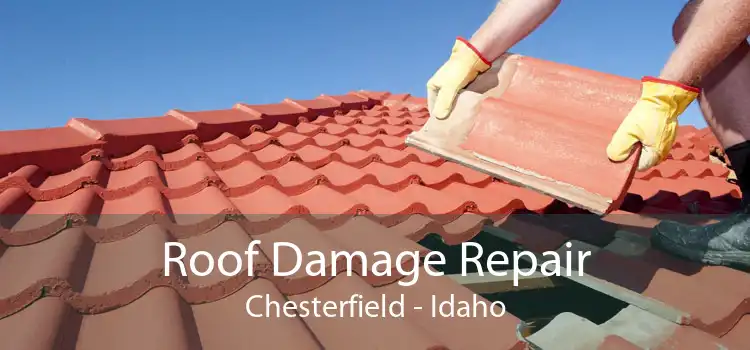 Roof Damage Repair Chesterfield - Idaho