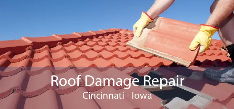 Roof Damage Repair Cincinnati - Iowa