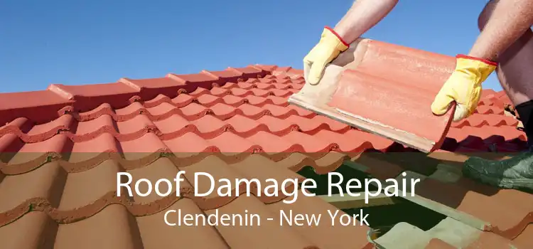 Roof Damage Repair Clendenin - New York