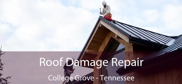 Roof Damage Repair College Grove - Tennessee