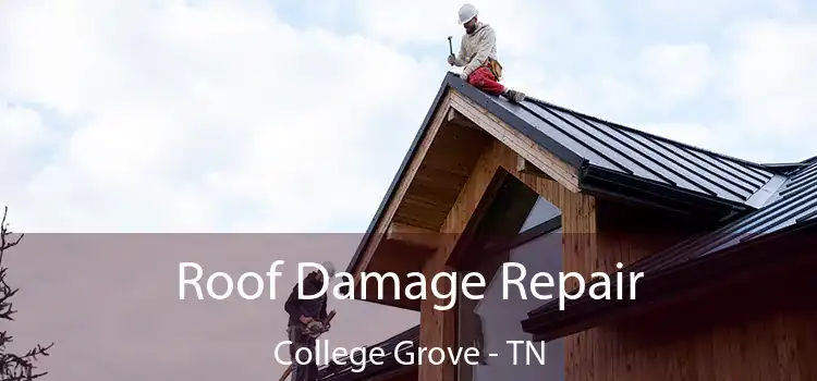 Roof Damage Repair College Grove - TN