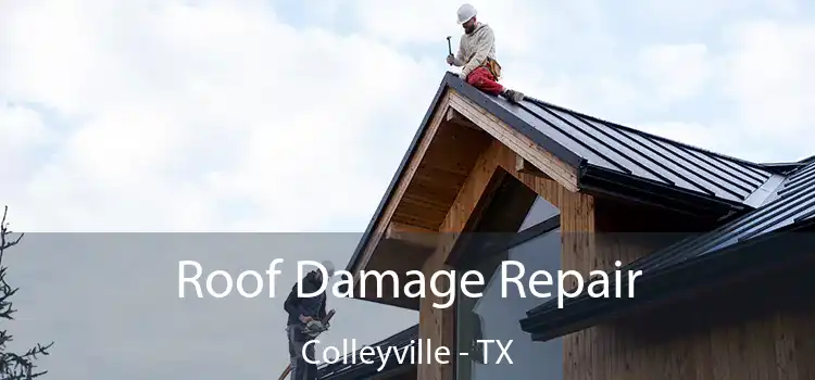 Roof Damage Repair Colleyville - TX