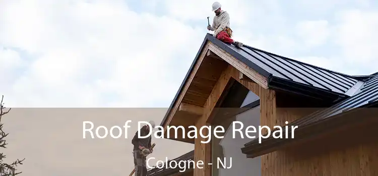 Roof Damage Repair Cologne - NJ