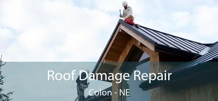 Roof Damage Repair Colon - NE