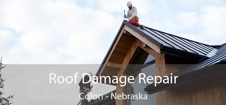 Roof Damage Repair Colon - Nebraska