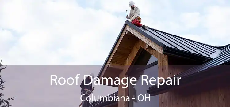 Roof Damage Repair Columbiana - OH