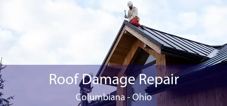 Roof Damage Repair Columbiana - Ohio