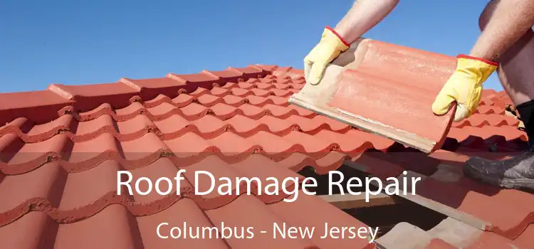 Roof Damage Repair Columbus - New Jersey