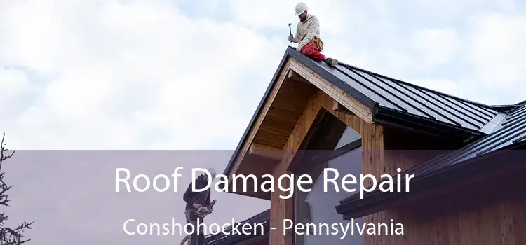 Roof Damage Repair Conshohocken - Pennsylvania