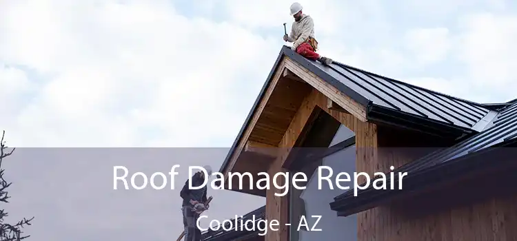 Roof Damage Repair Coolidge - AZ