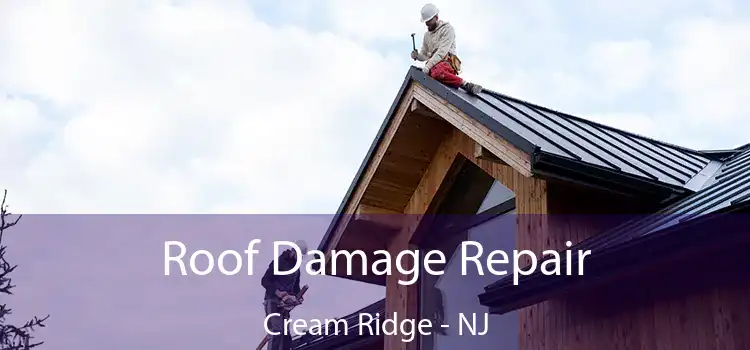 Roof Damage Repair Cream Ridge - NJ