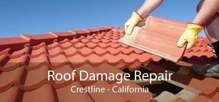 Roof Damage Repair Crestline - California