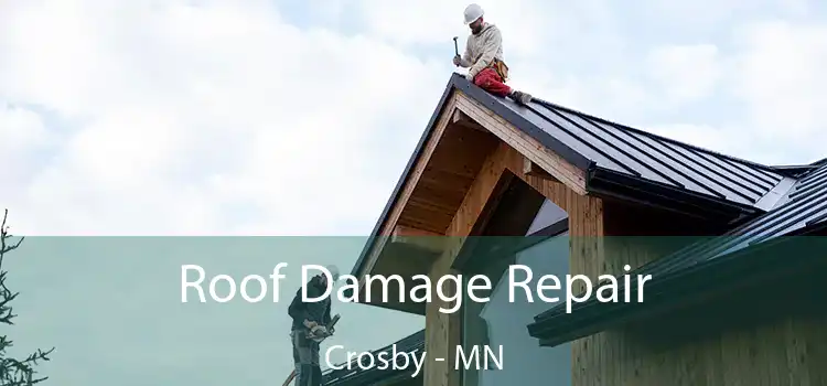 Roof Damage Repair Crosby - MN