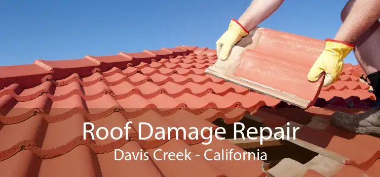 Roof Damage Repair Davis Creek - California