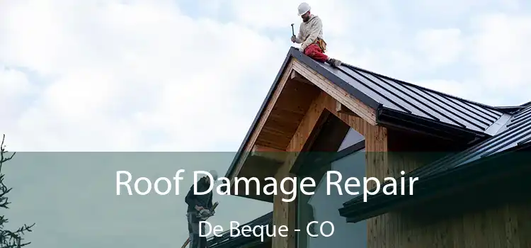 Roof Damage Repair De Beque - CO