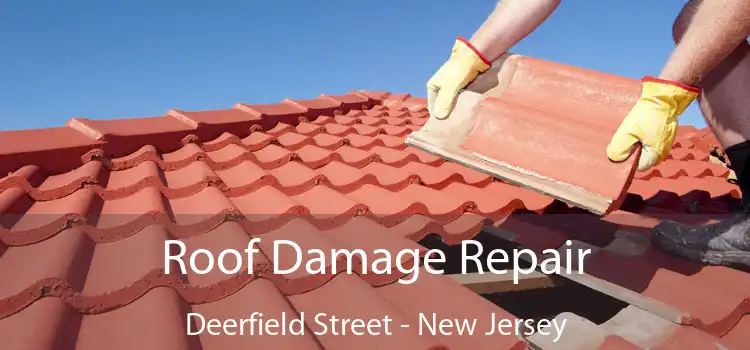 Roof Damage Repair Deerfield Street - New Jersey