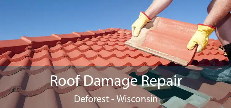 Roof Damage Repair Deforest - Wisconsin