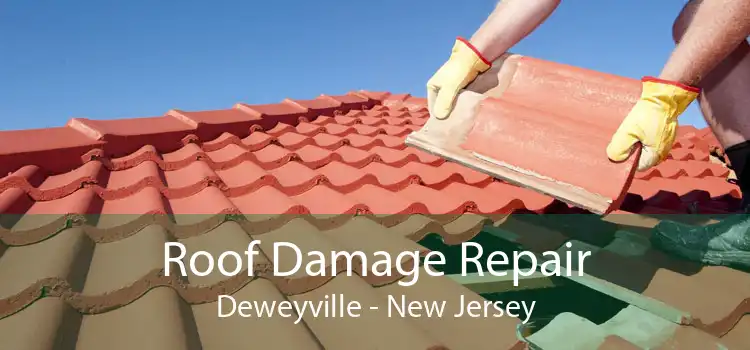 Roof Damage Repair Deweyville - New Jersey