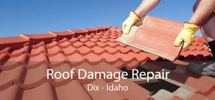 Roof Damage Repair Dix - Idaho