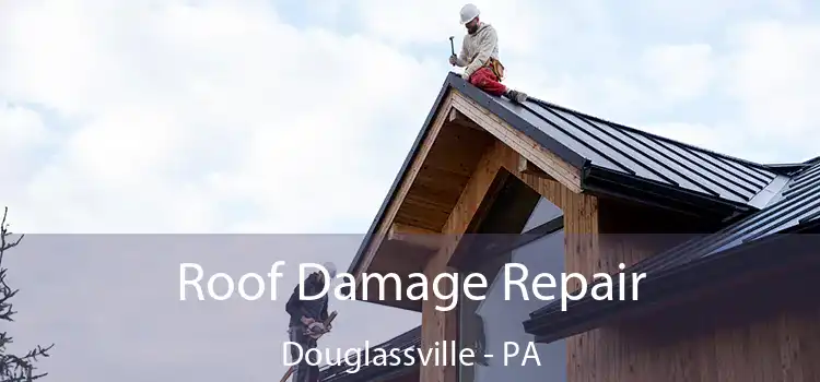 Roof Damage Repair Douglassville - PA