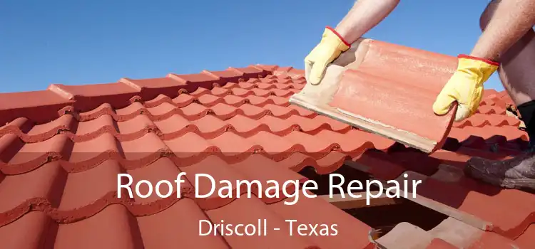 Roof Damage Repair Driscoll - Texas