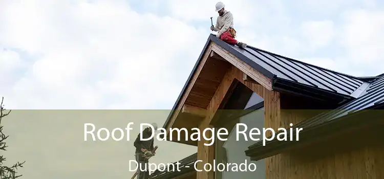 Roof Damage Repair Dupont - Colorado