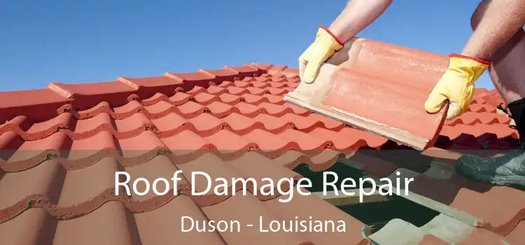 Roof Damage Repair Duson - Louisiana