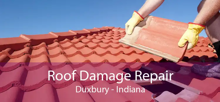 Roof Damage Repair Duxbury - Indiana