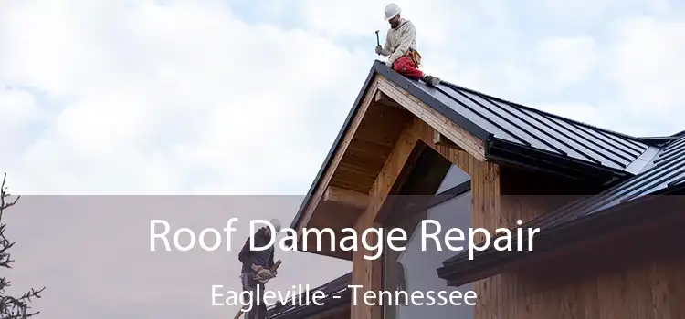 Roof Damage Repair Eagleville - Tennessee