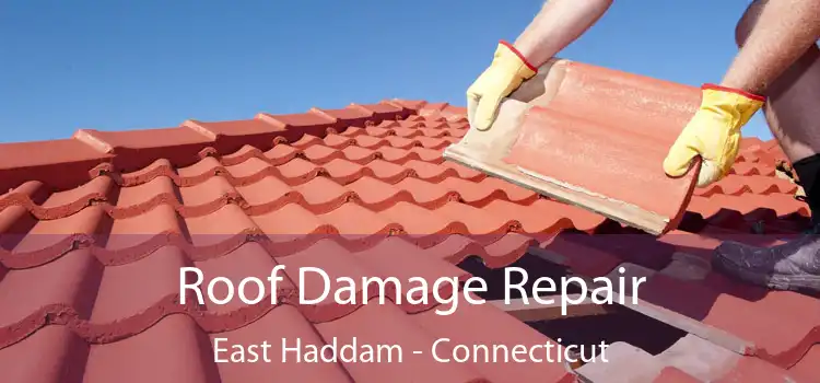 Roof Damage Repair East Haddam - Connecticut