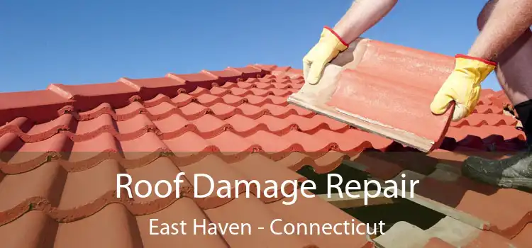 Roof Damage Repair East Haven - Connecticut