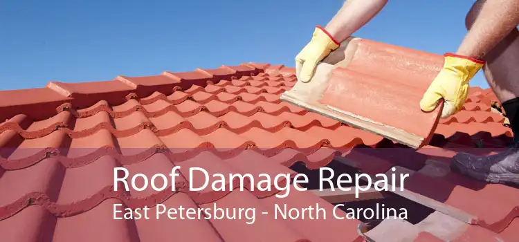 Roof Damage Repair East Petersburg - North Carolina