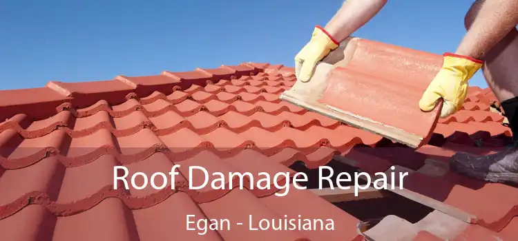 Roof Damage Repair Egan - Louisiana