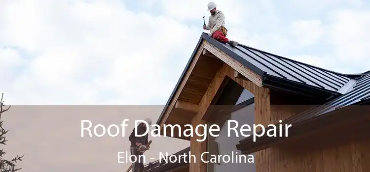 Roof Damage Repair Elon - North Carolina