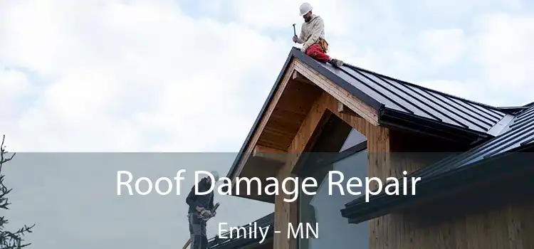 Roof Damage Repair Emily - MN