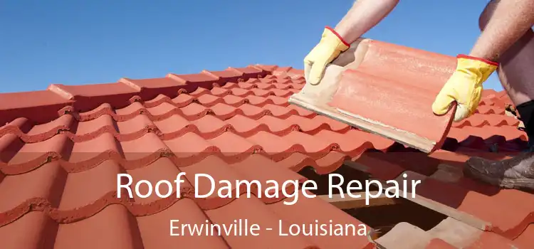 Roof Damage Repair Erwinville - Louisiana