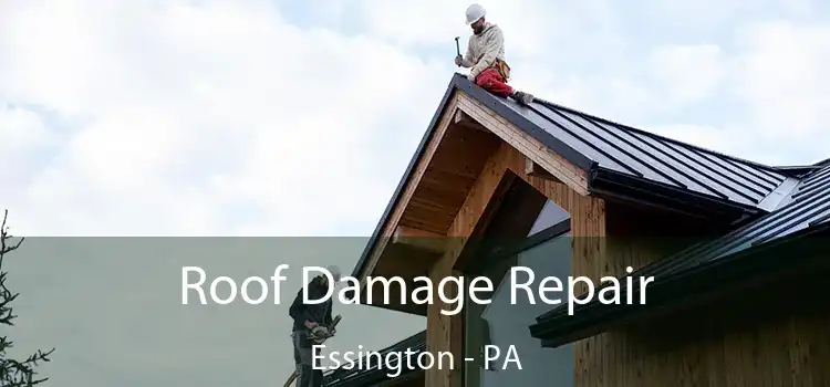 Roof Damage Repair Essington - PA