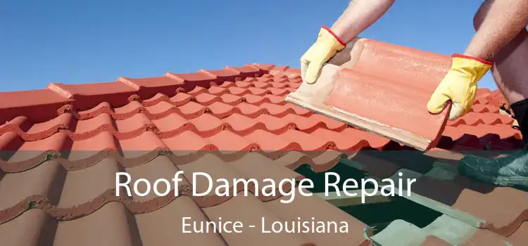 Roof Damage Repair Eunice - Louisiana