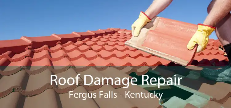 Roof Damage Repair Fergus Falls - Kentucky