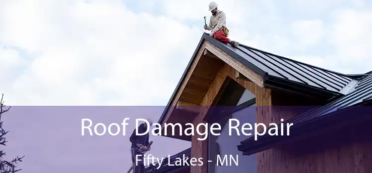 Roof Damage Repair Fifty Lakes - MN