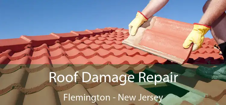 Roof Damage Repair Flemington - New Jersey