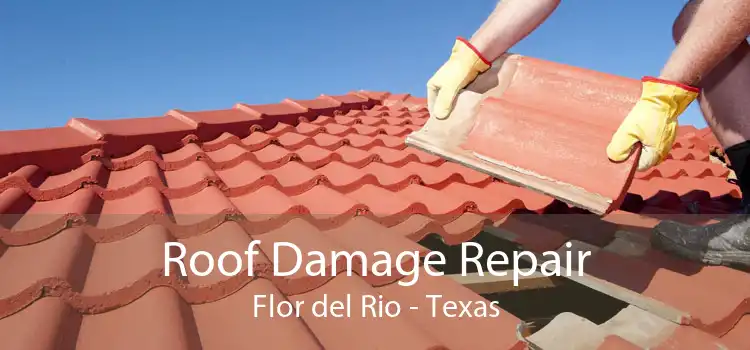 Roof Damage Repair Flor del Rio - Texas