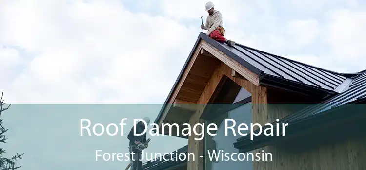 Roof Damage Repair Forest Junction - Wisconsin