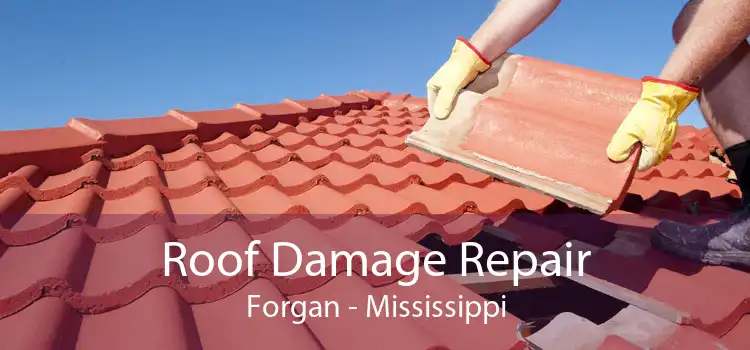 Roof Damage Repair Forgan - Mississippi
