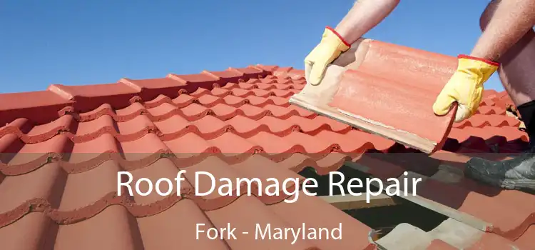 Roof Damage Repair Fork - Maryland