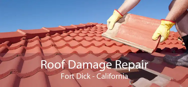 Roof Damage Repair Fort Dick - California