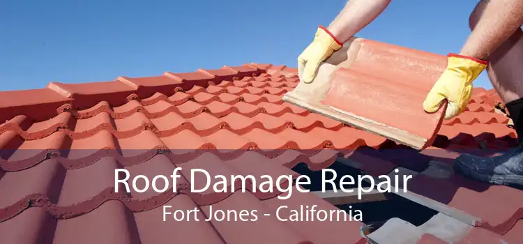 Roof Damage Repair Fort Jones - California